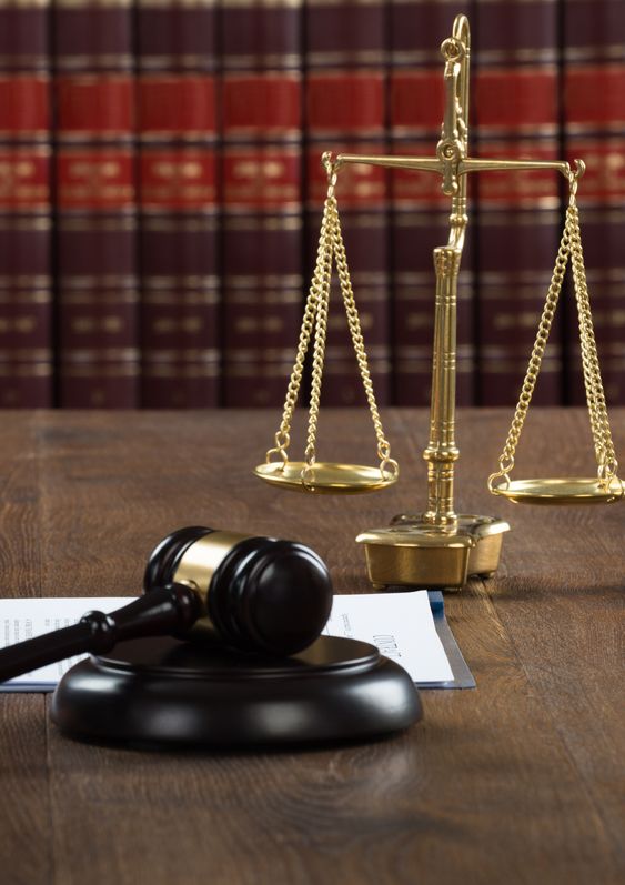 Dog Bite Lawyer in Michigan